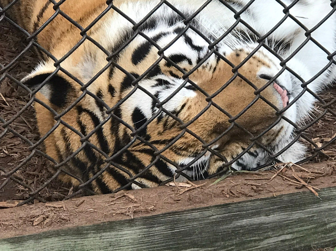 Central Florida Animal Reserve-圣克劳德必去景点