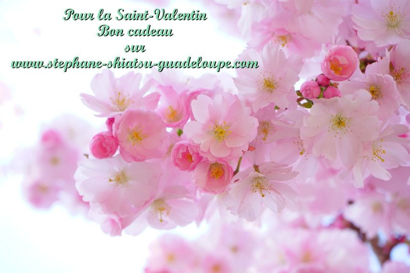 Shiatsu Guadeloupe-Sainte-Anne必去景点