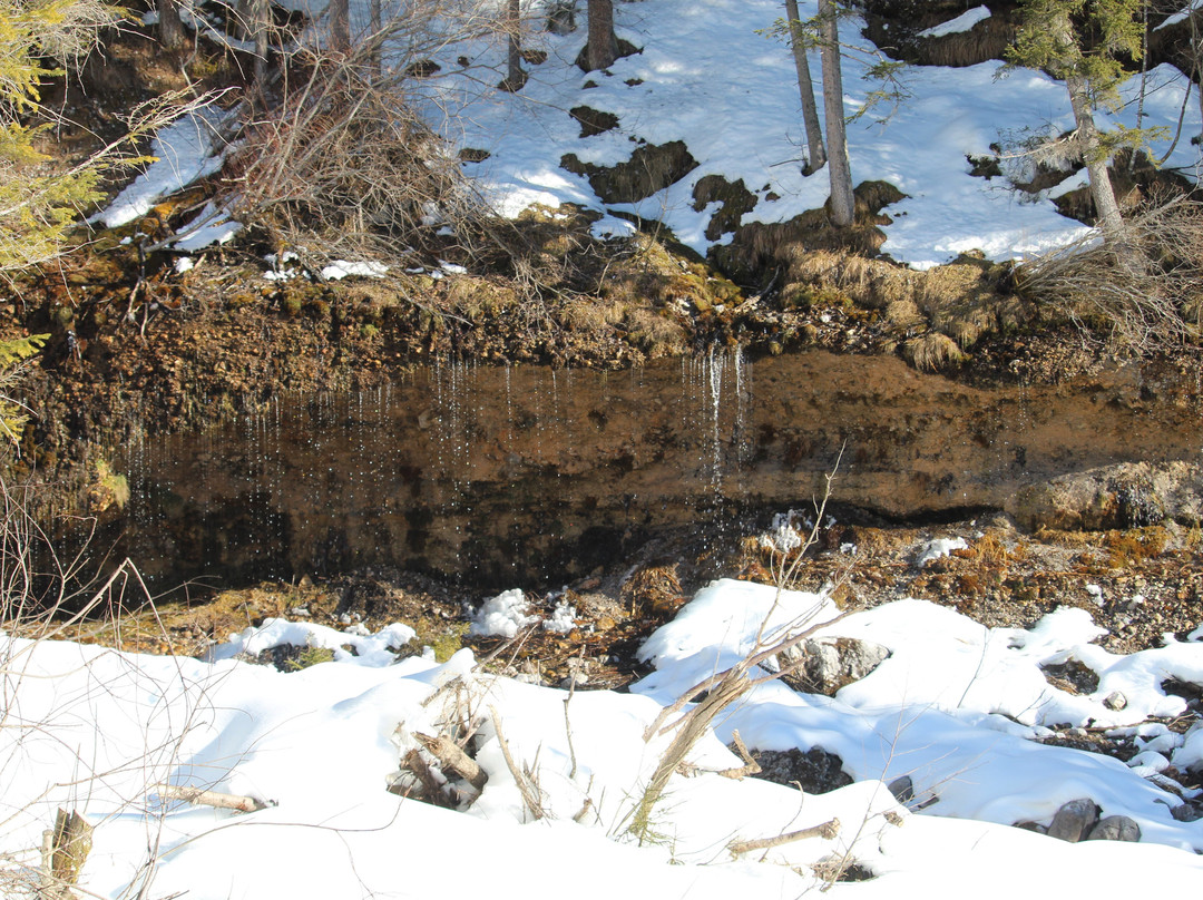 Die Triefen von Hinterthal