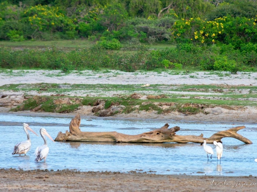 Remarkable Expeditions-凯格勒 必去景点