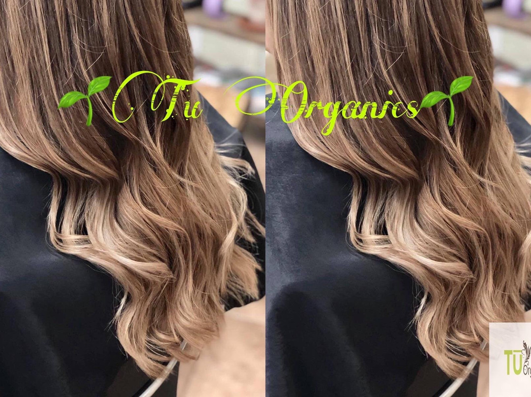 Tu Organics Salon and Spa景点图片