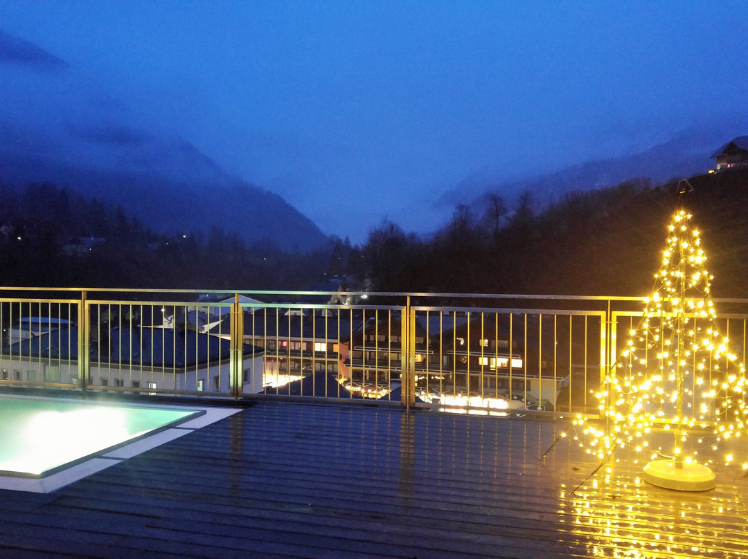 Spa Hotel Erzherzog Johann主图