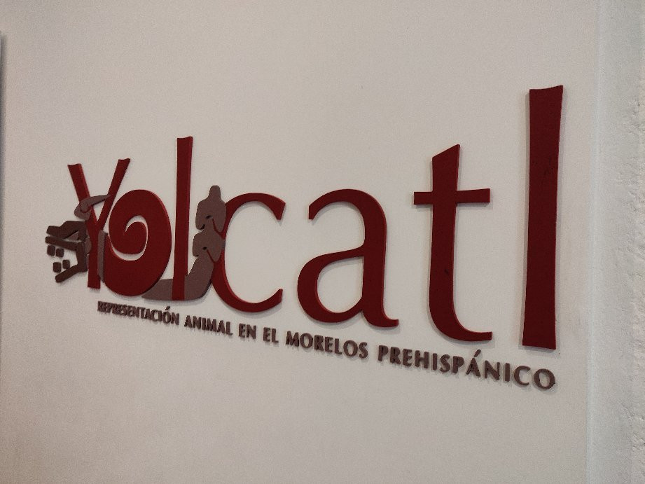 Museo de Cuauhnahuac-奎尔纳瓦卡必去景点