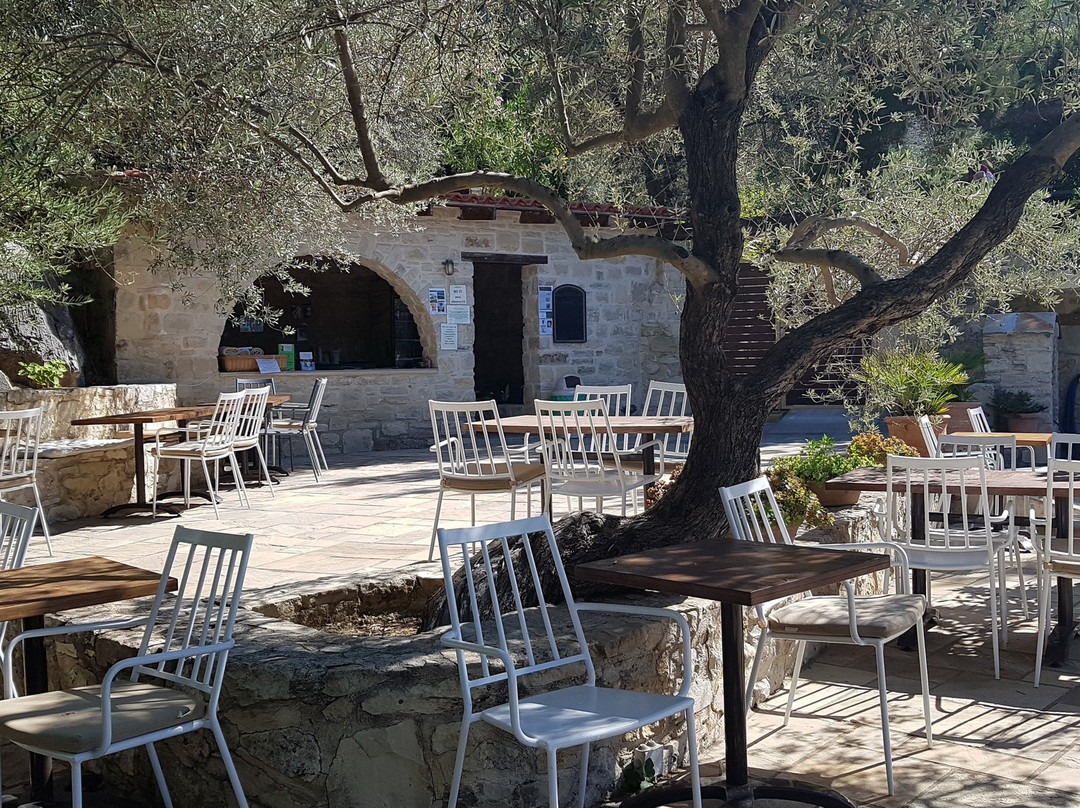 埃里昂纳斯酒店主图