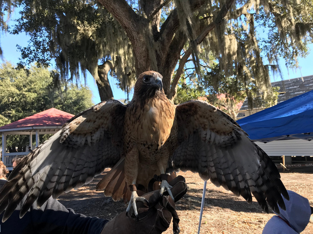 Port Royal Farmers Market-Port Royal必去景点
