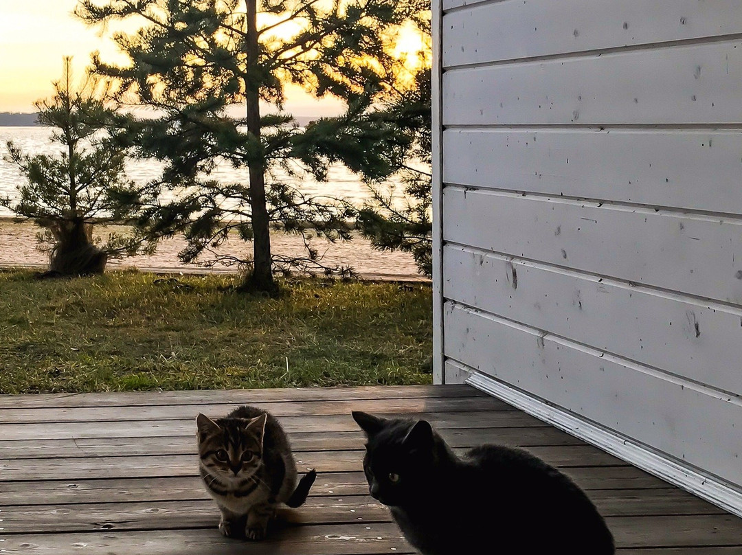 Ustye旅游攻略图片