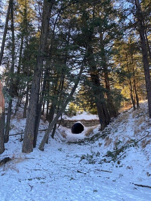 Buffalo Head Park-卡利斯佩尔必去景点