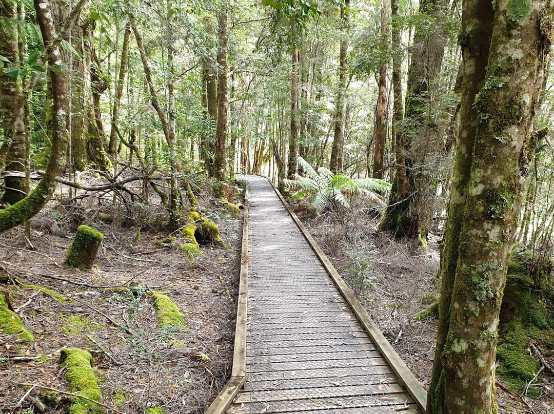 Styx Valley-Maydena必去景点