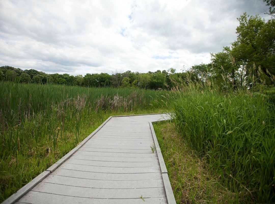 Lincoln Marsh Nature Preserve景点图片