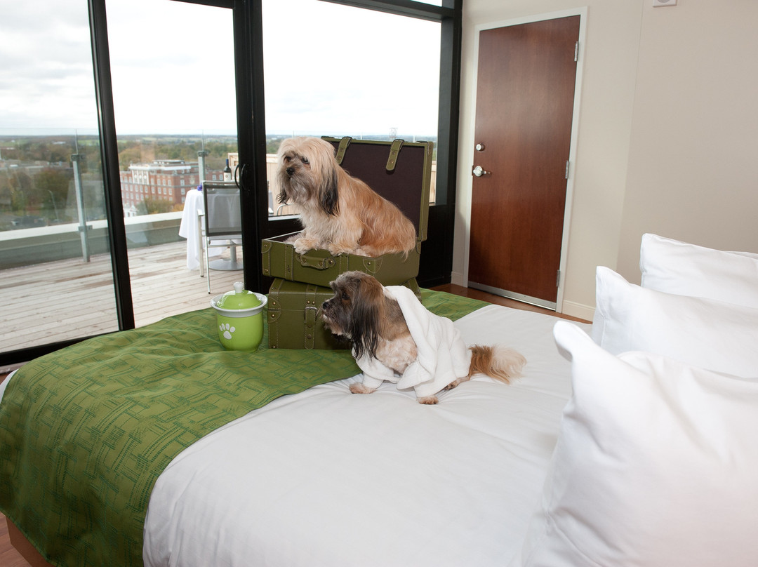 霍尔曼大酒店主图