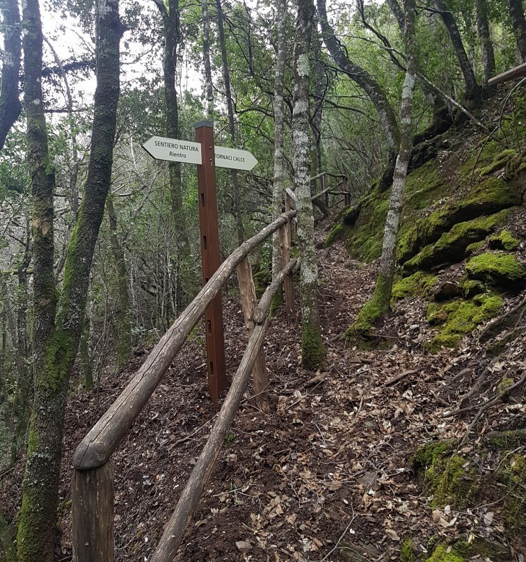 Foresta di Montarbu-Seui必去景点