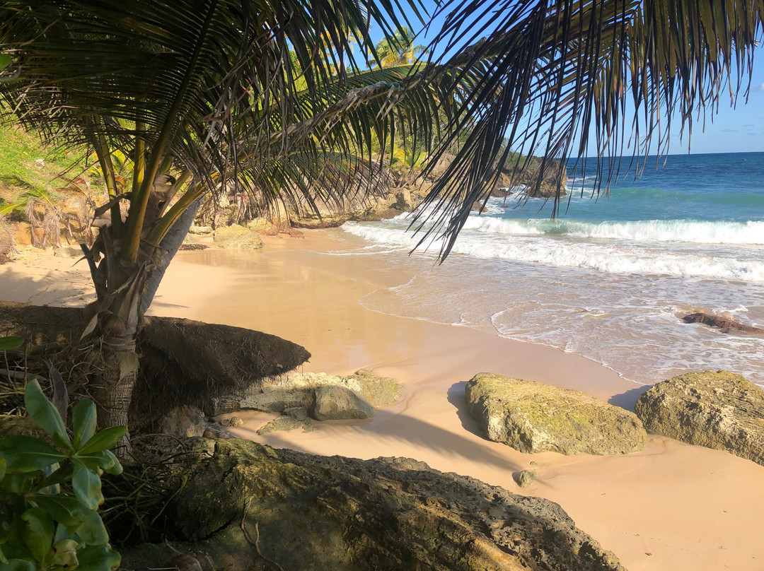 Playa Grande景点图片