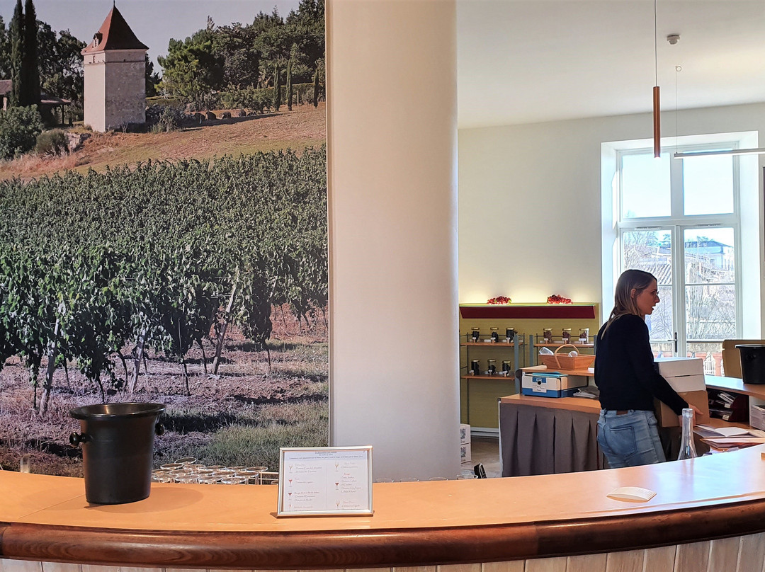 Maison des Vins de Gaillac景点图片