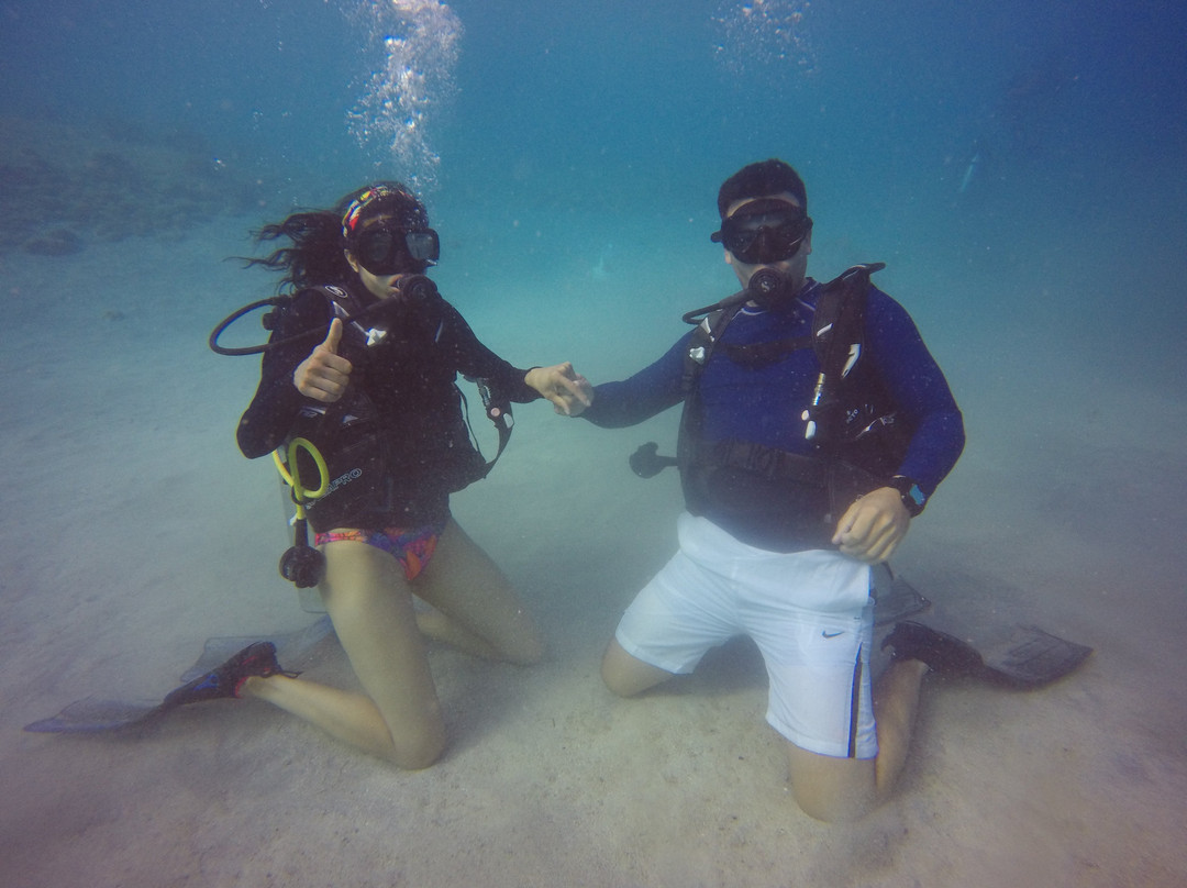 Centro De Buceo Narval景点图片