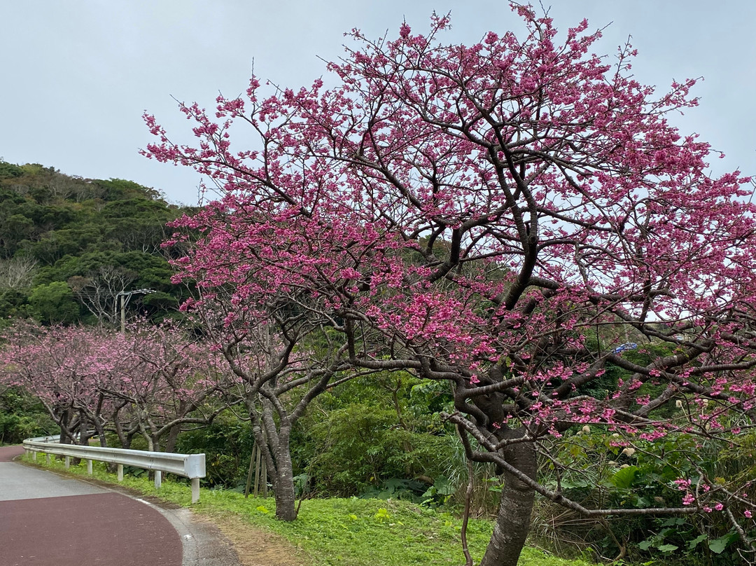 Mt. Yaedake-本部町必去景点