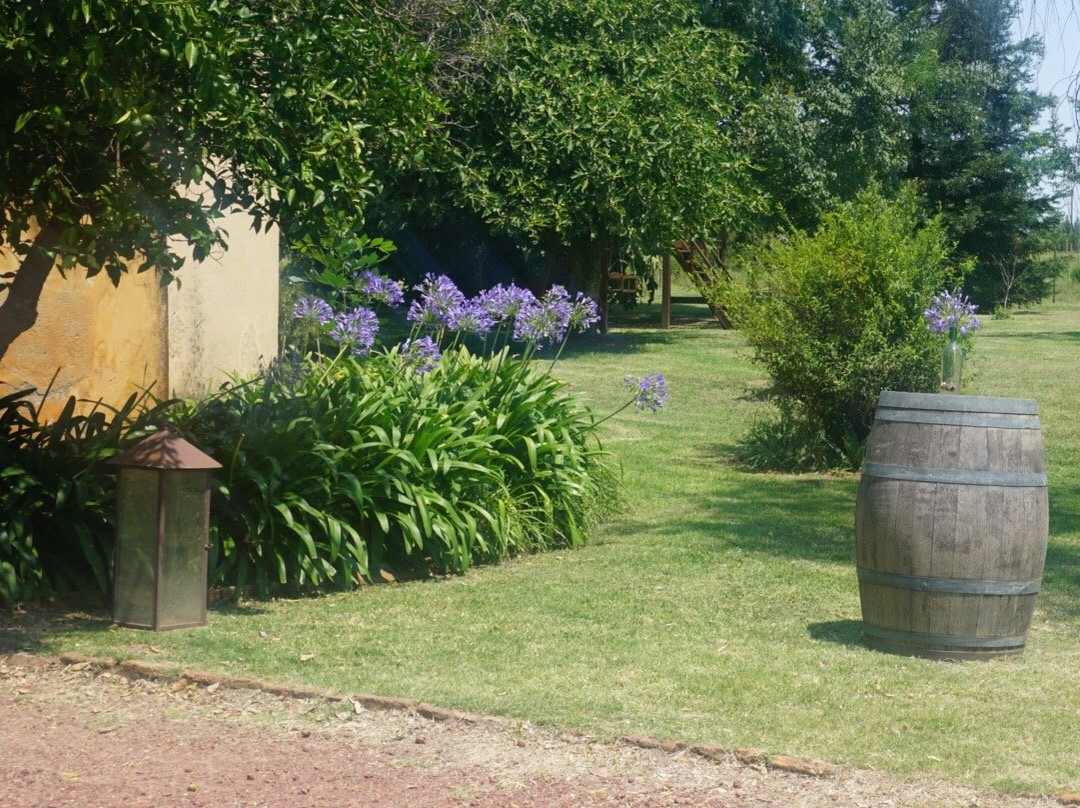 Bodega Campo Tinto-Carmelo必去景点