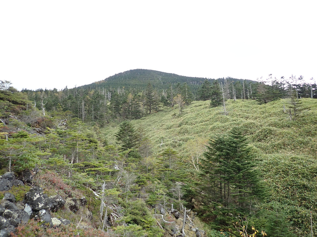 Tsuboniwa Nature Park-茅野市必去景点