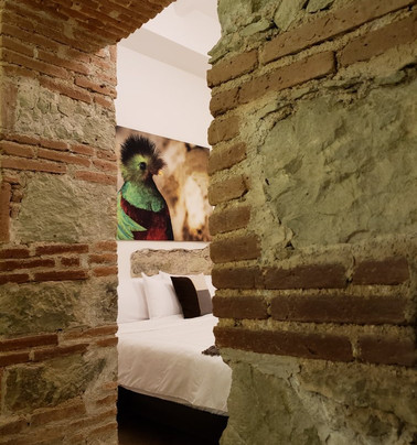 Hotel Tabaa Oaxaca主图