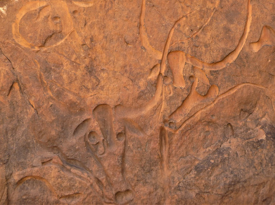 Kanaga Africa Tours-阿尔及尔必去景点