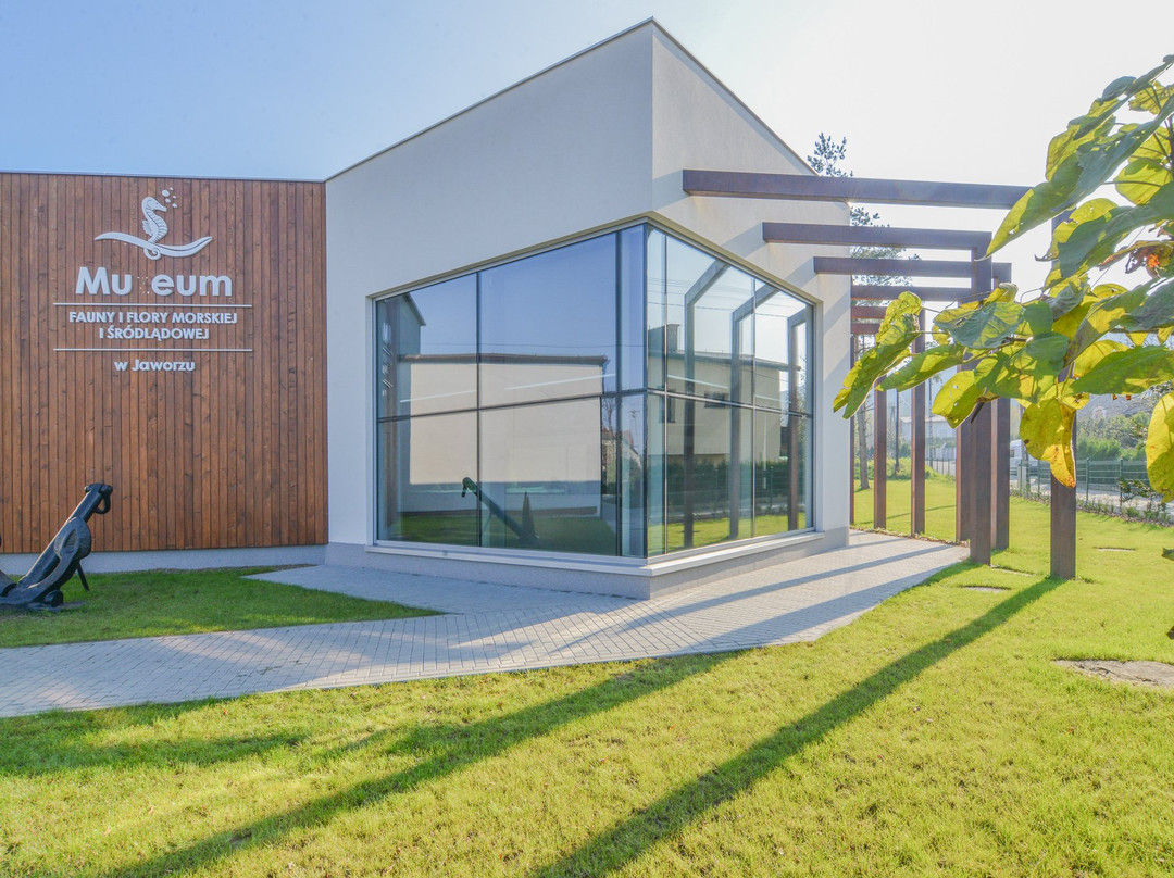 Marine Flora and Fauna Museum景点图片