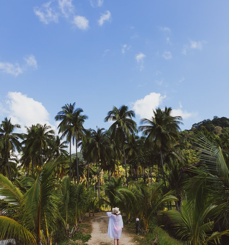 暹罗升级水上运动-象岛必去景点