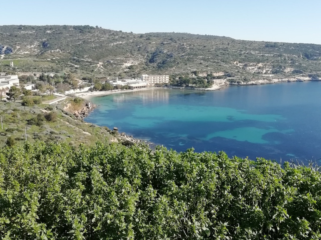 Calamosca Beach景点图片