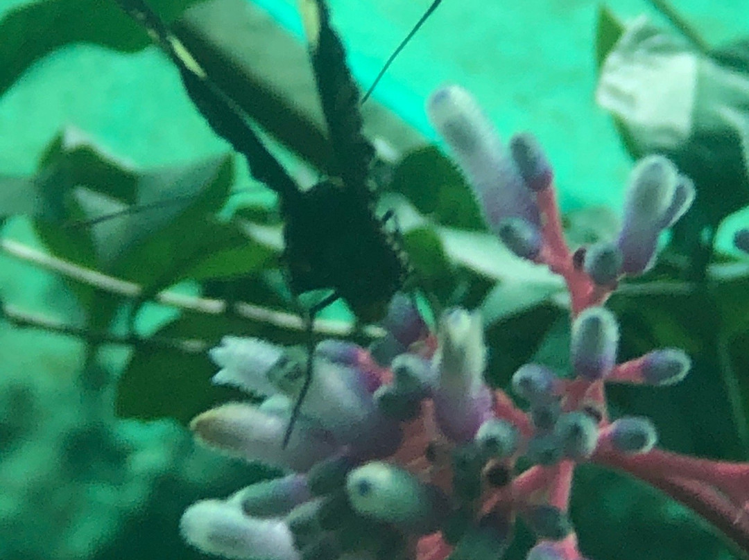 Ecoparque La Soñada-Tarapoto必去景点