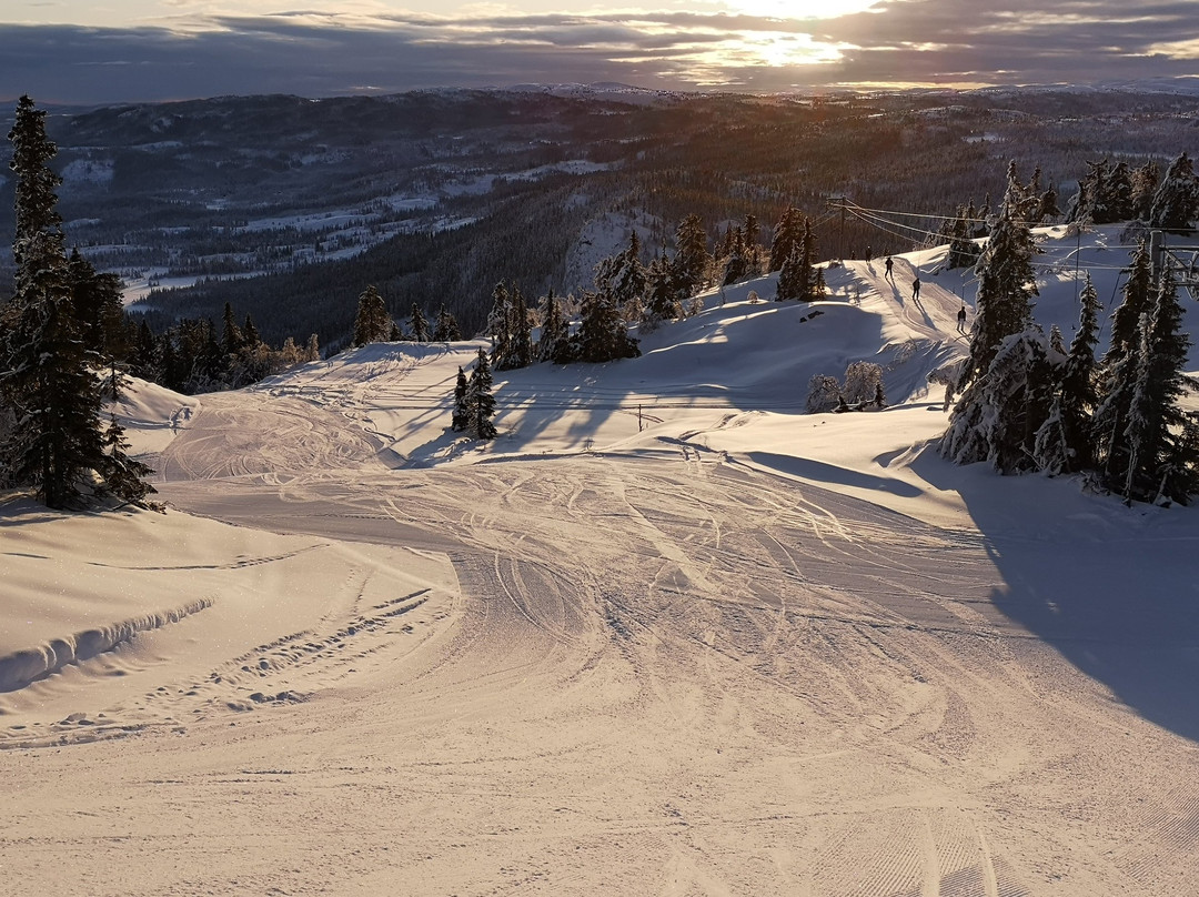 Stavadalen Ski Center景点图片