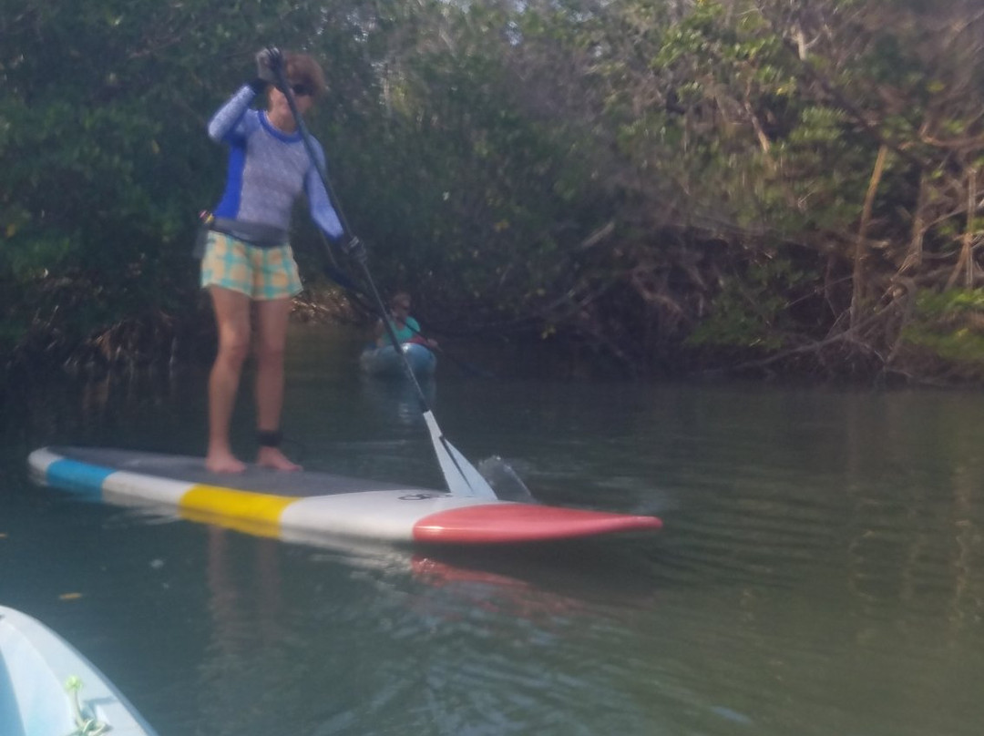 Fort Pierce Inlet State Park-匹尔斯堡必去景点