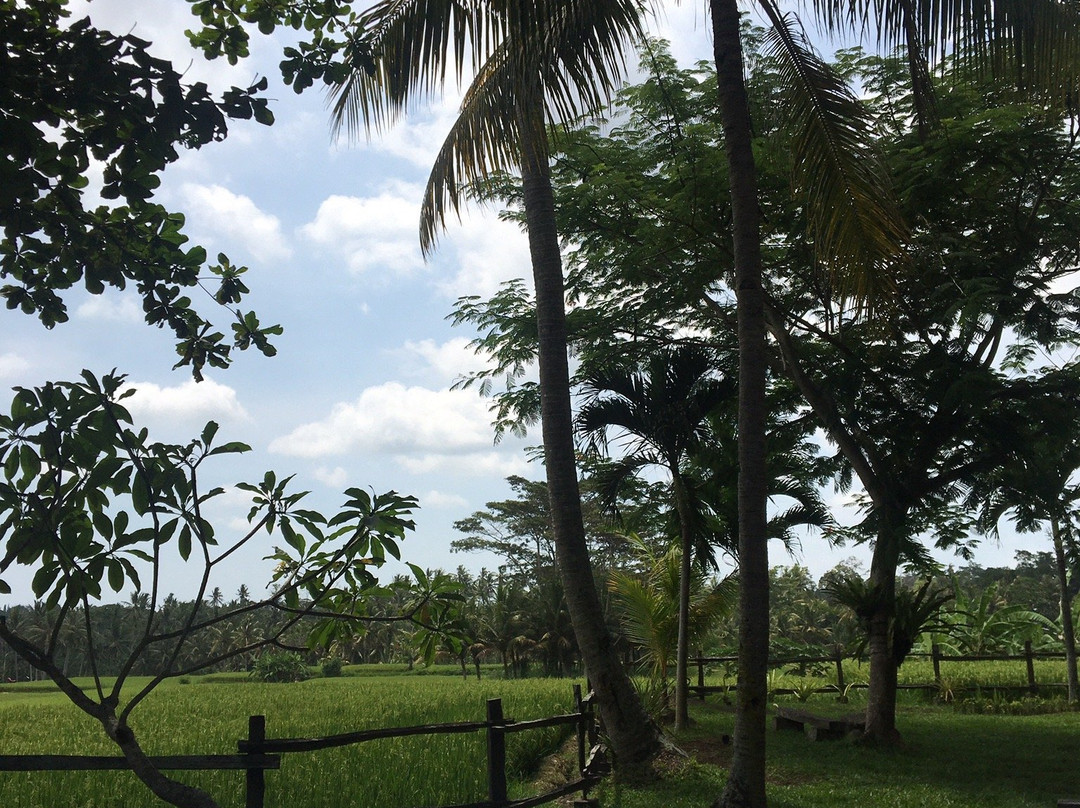 欧玛阿匹克酒店主图