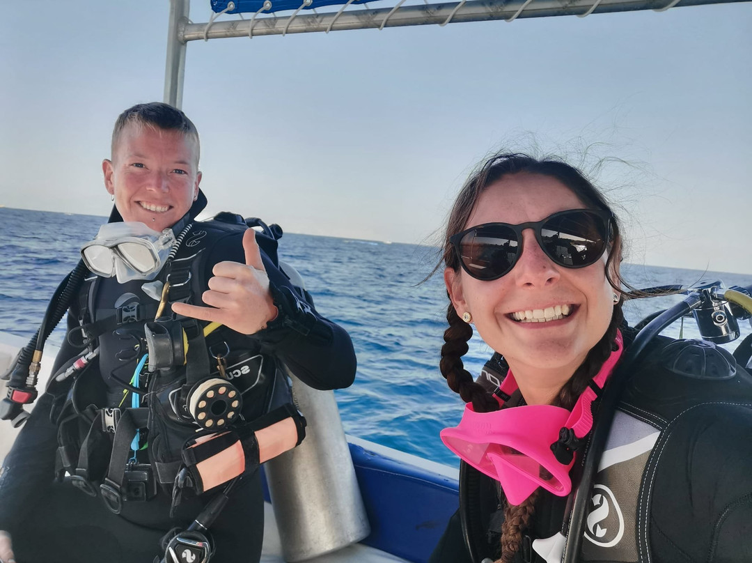 Sinai Divers Aqaba-亚喀巴必去景点