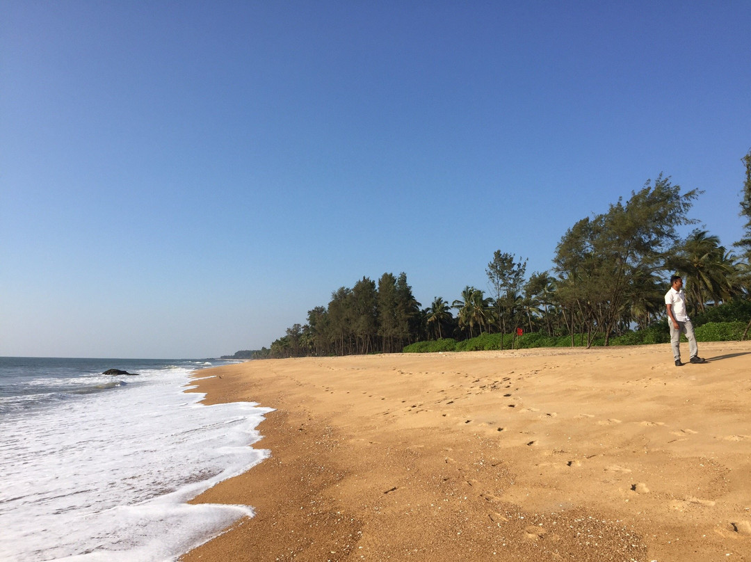Kappil Beach景点图片