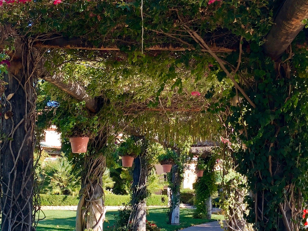 South Coast Winery-特曼库拉必去景点