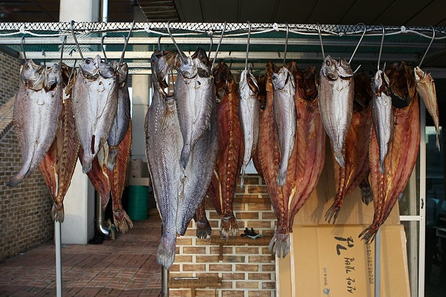 Sinan Jeotgal Town-新安郡必去景点