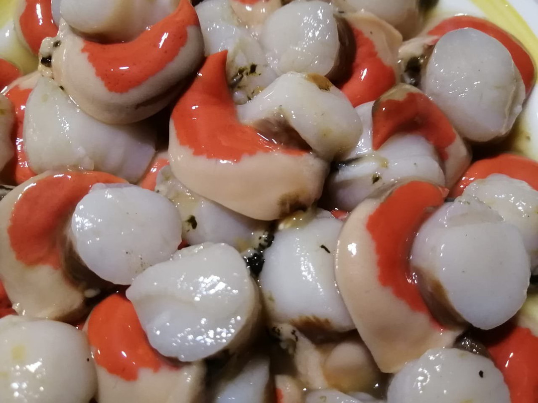 Turismo Todo Tongoy-Tongoy必去景点