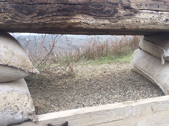 El Merengue Camarasa