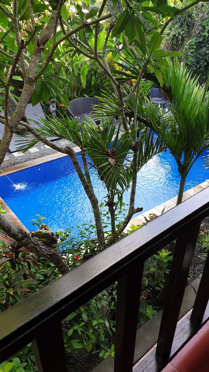 巴厘岛热带酒店-酒店景观