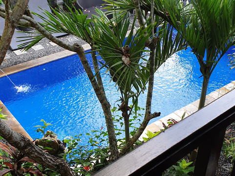 巴厘岛热带酒店主图