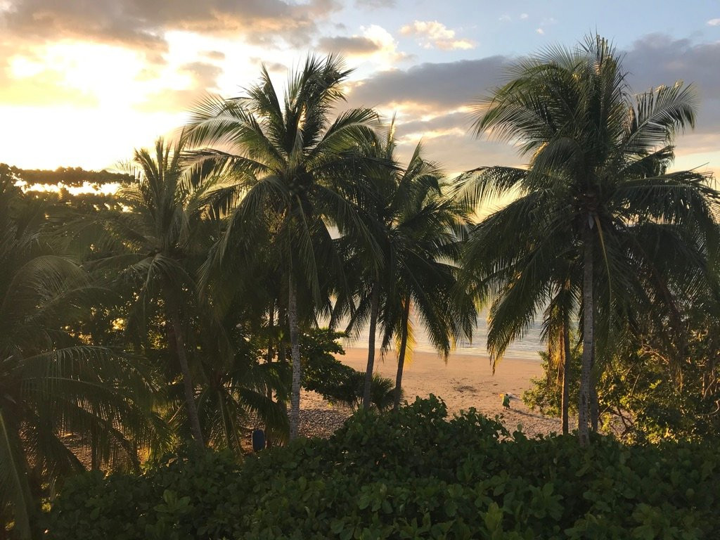 La Gaviota Tropical主图