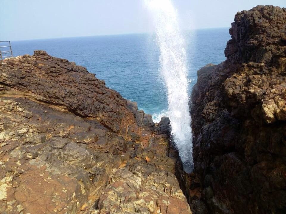 Saman Homestay主图