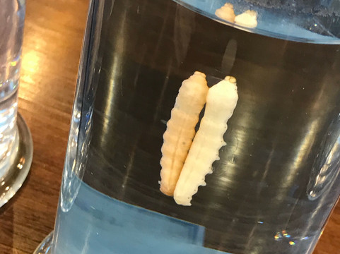 天厚绸庄-上海市必去景点