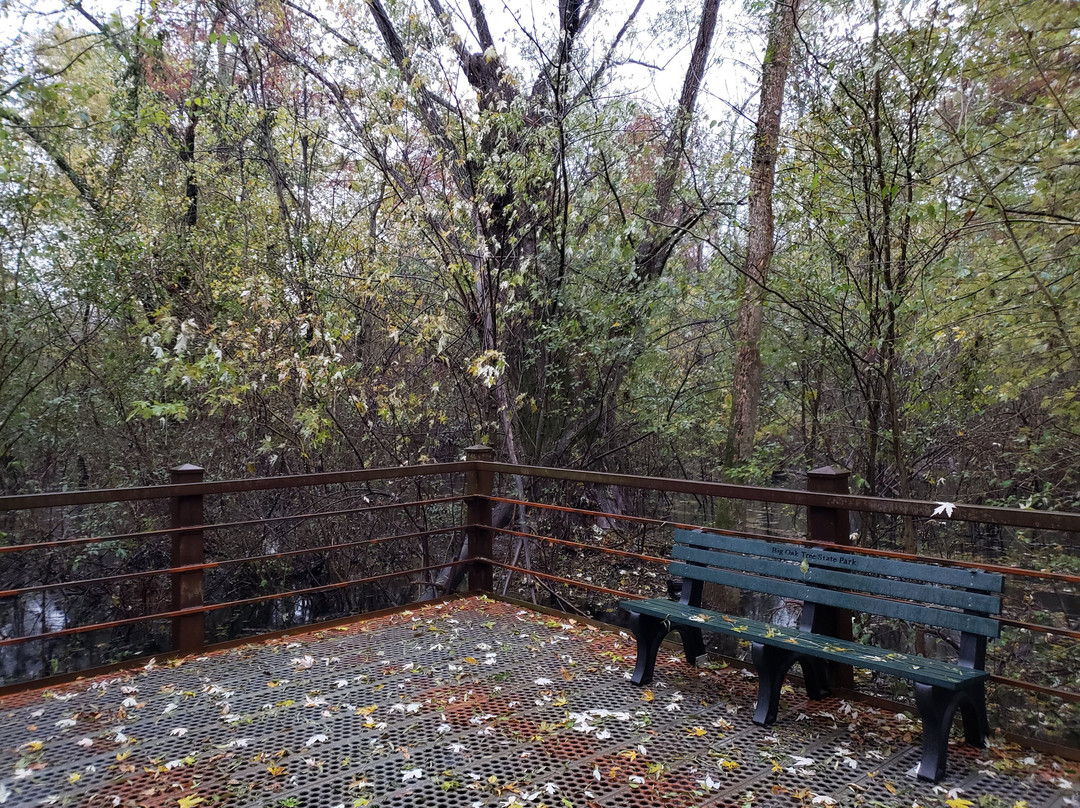 Big Oak Tree State Park-East Prairie必去景点