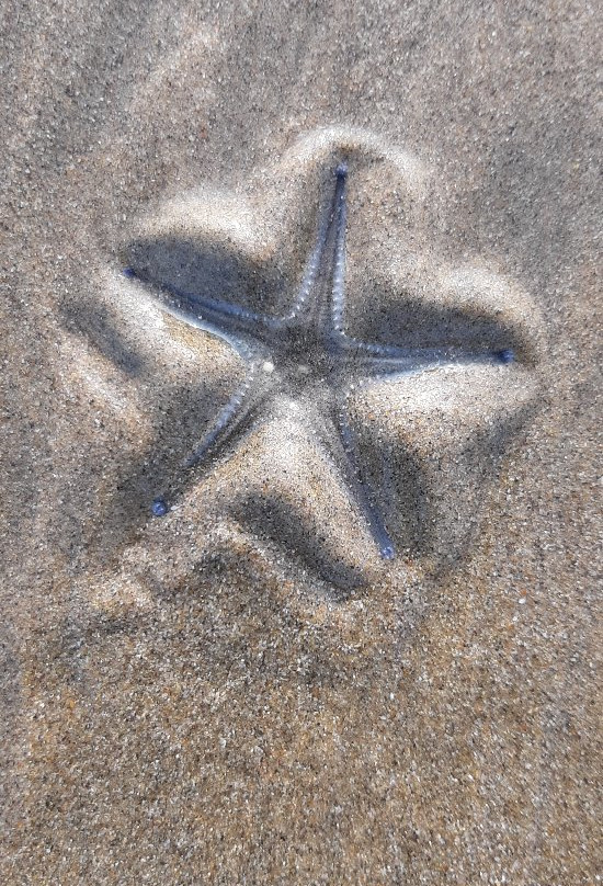 Mithbavkar's Homestay主图