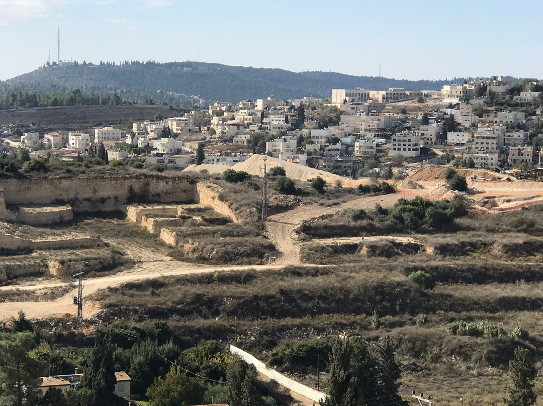 Cramim Hotel by Isrotel Exclusive主图