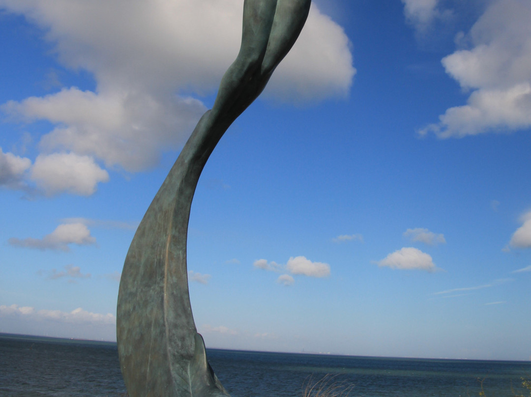 Cole Park-科珀斯克里斯蒂市必去景点