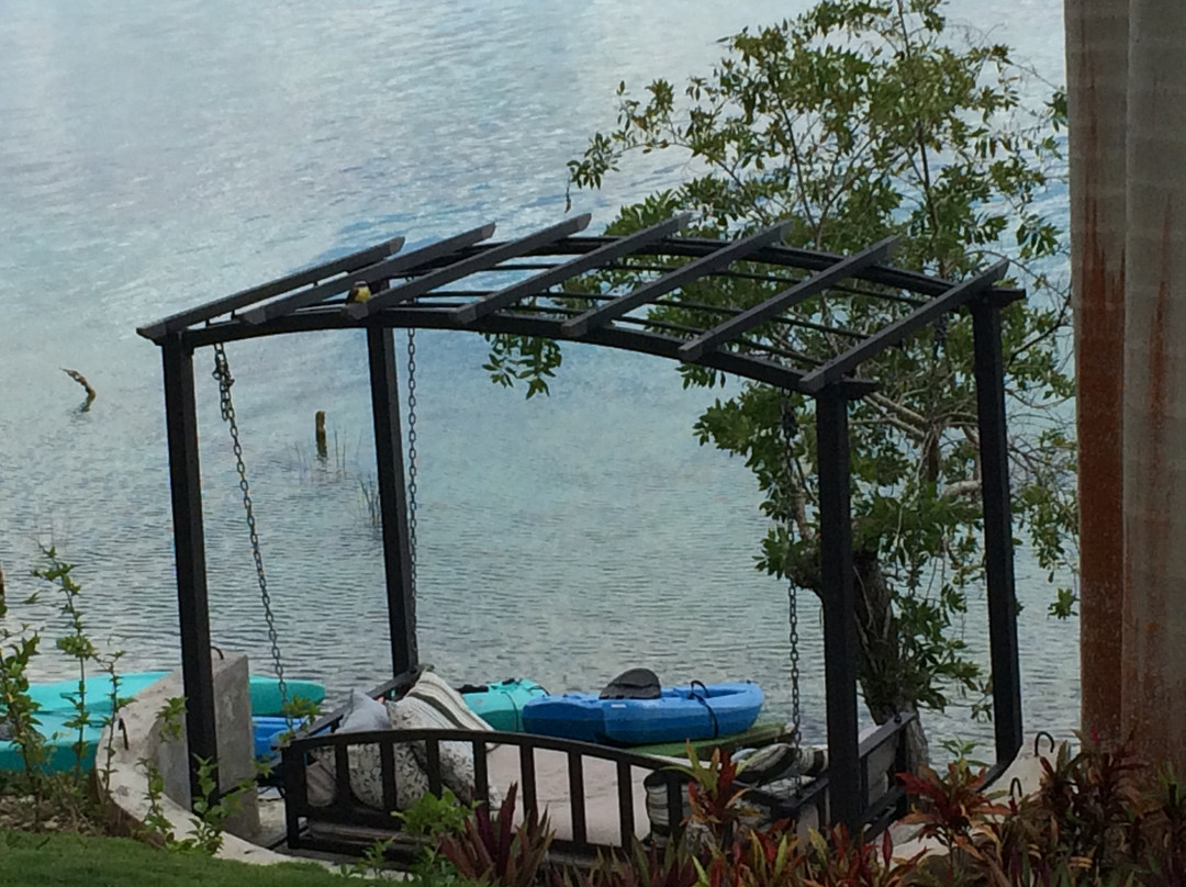 Agave Blue Bacalar主图