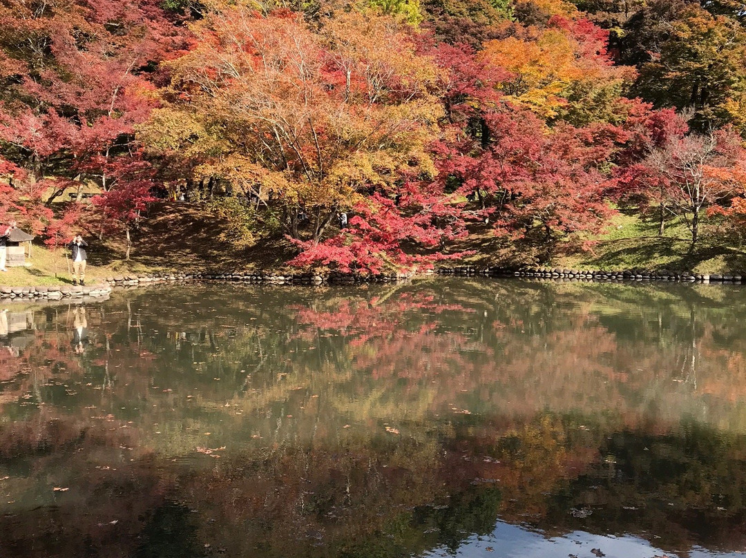 Yujaku Park-丰后大野市必去景点