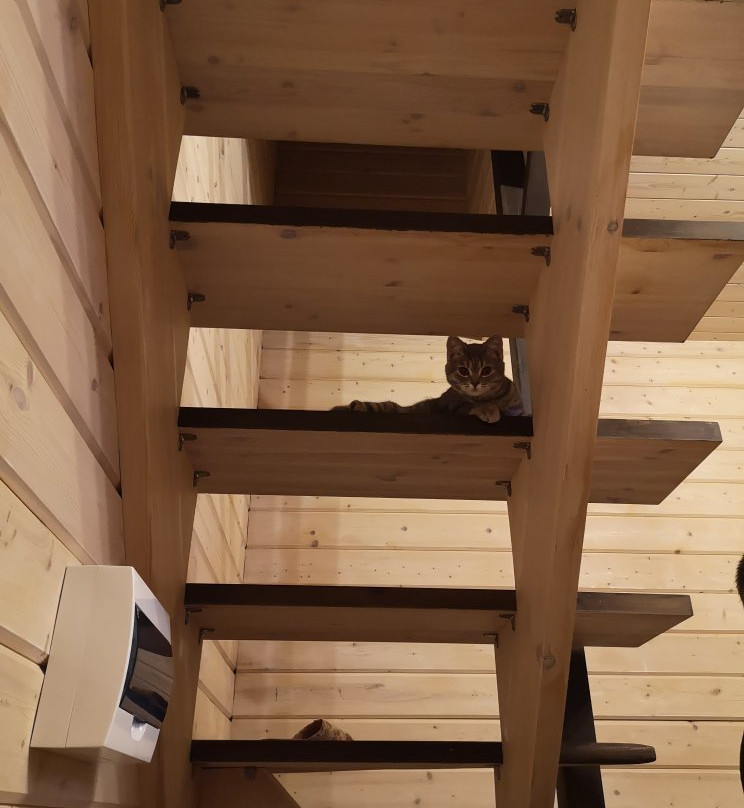 Guest House U Pruda主图