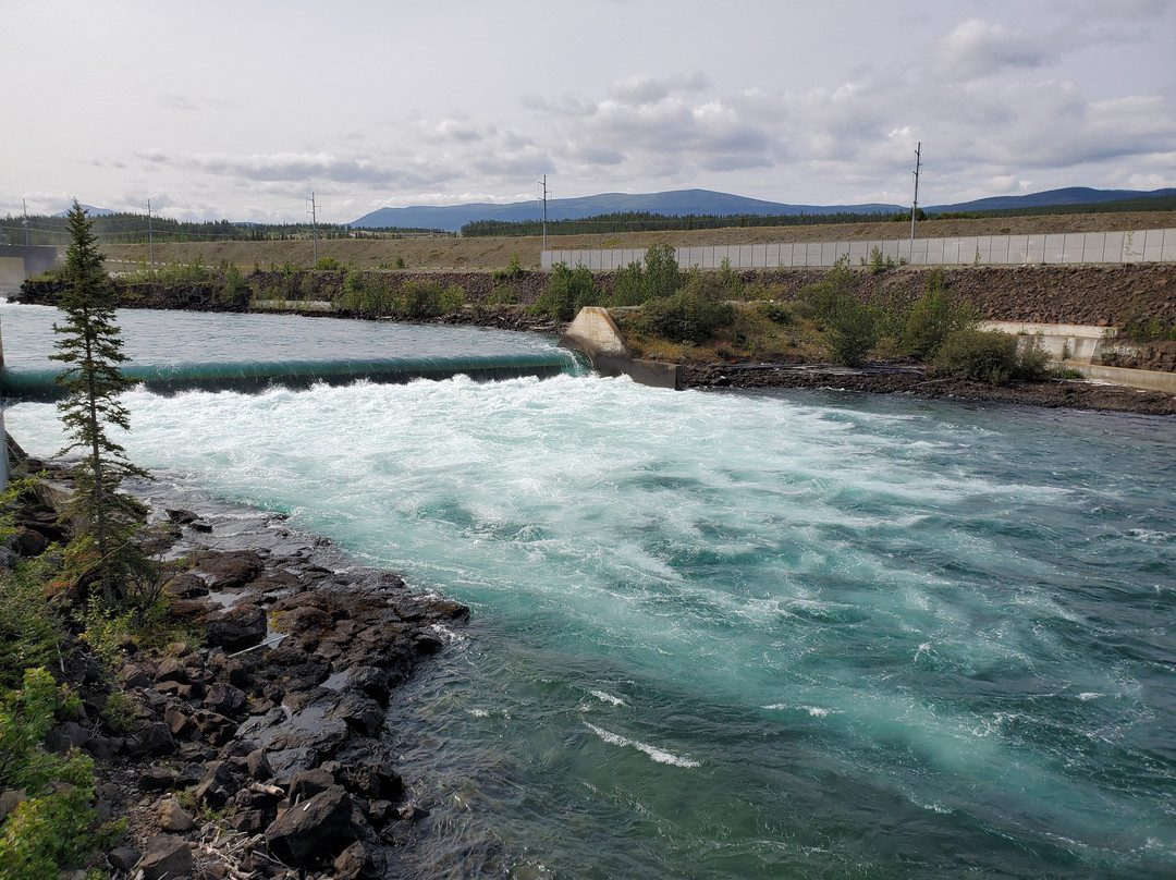 Whitehorse Fishway-白马市必去景点