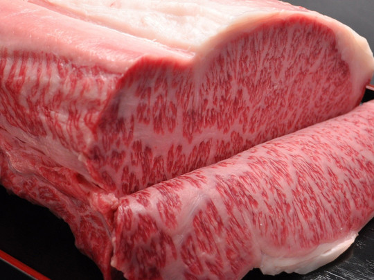 本丸 姫路城店主图